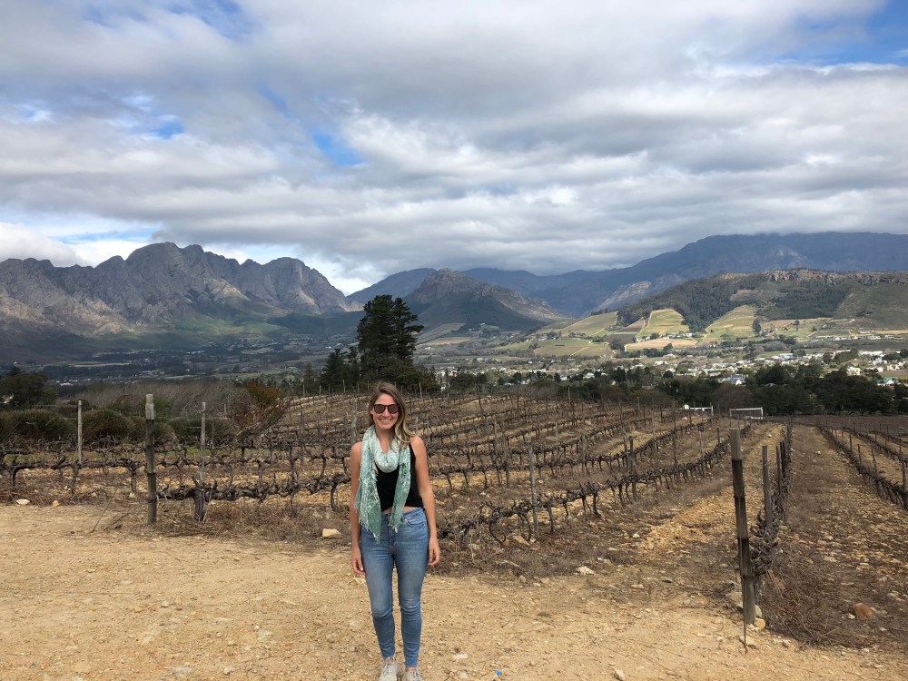 I4DA7wdPTW+H0jE7dJfULw