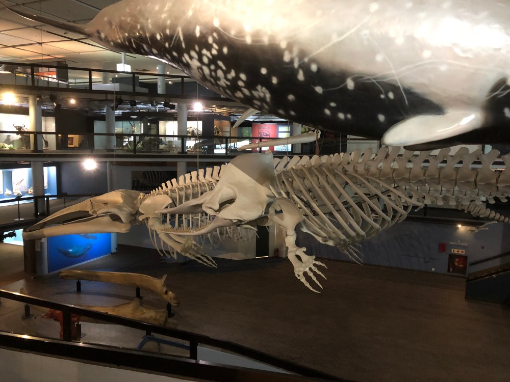 lyifWt%vSjykrFnnFulBWw