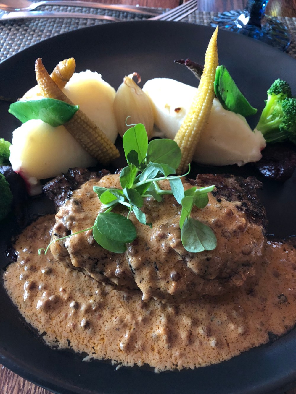 VHXY12jEQEi9Nh+5SnE6gg