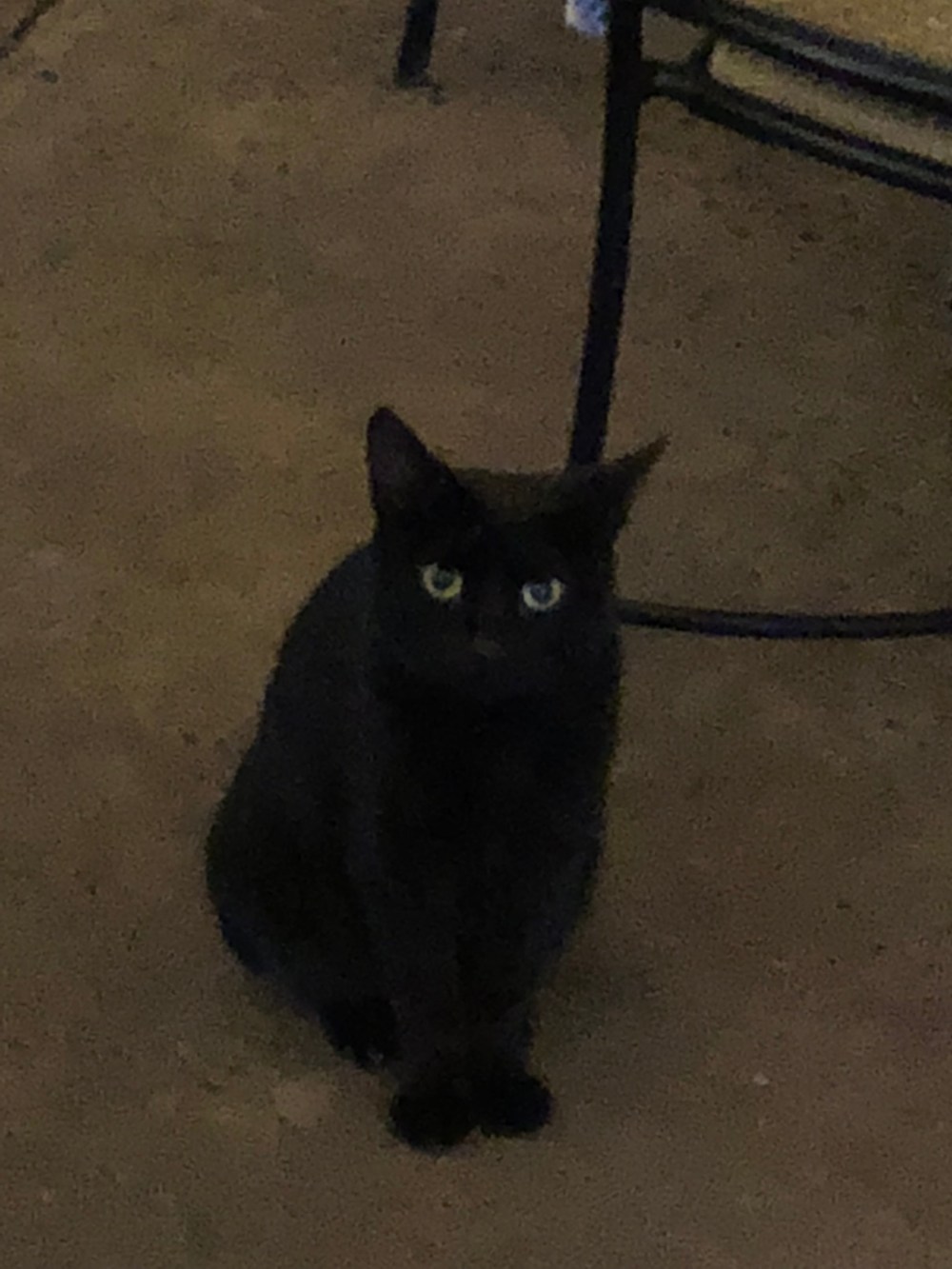 NTBSWyH3RiibCR6SDwaTSQ