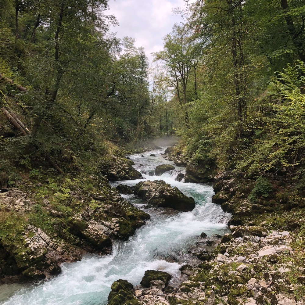 v04aUhsGRHarulEL8UJVRA